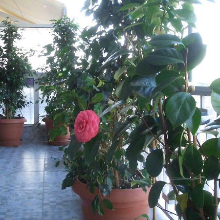 Athens Penthouse Cosy Apartment Eksteriør billede