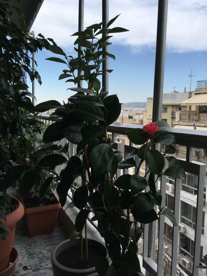 Athens Penthouse Cosy Apartment Eksteriør billede